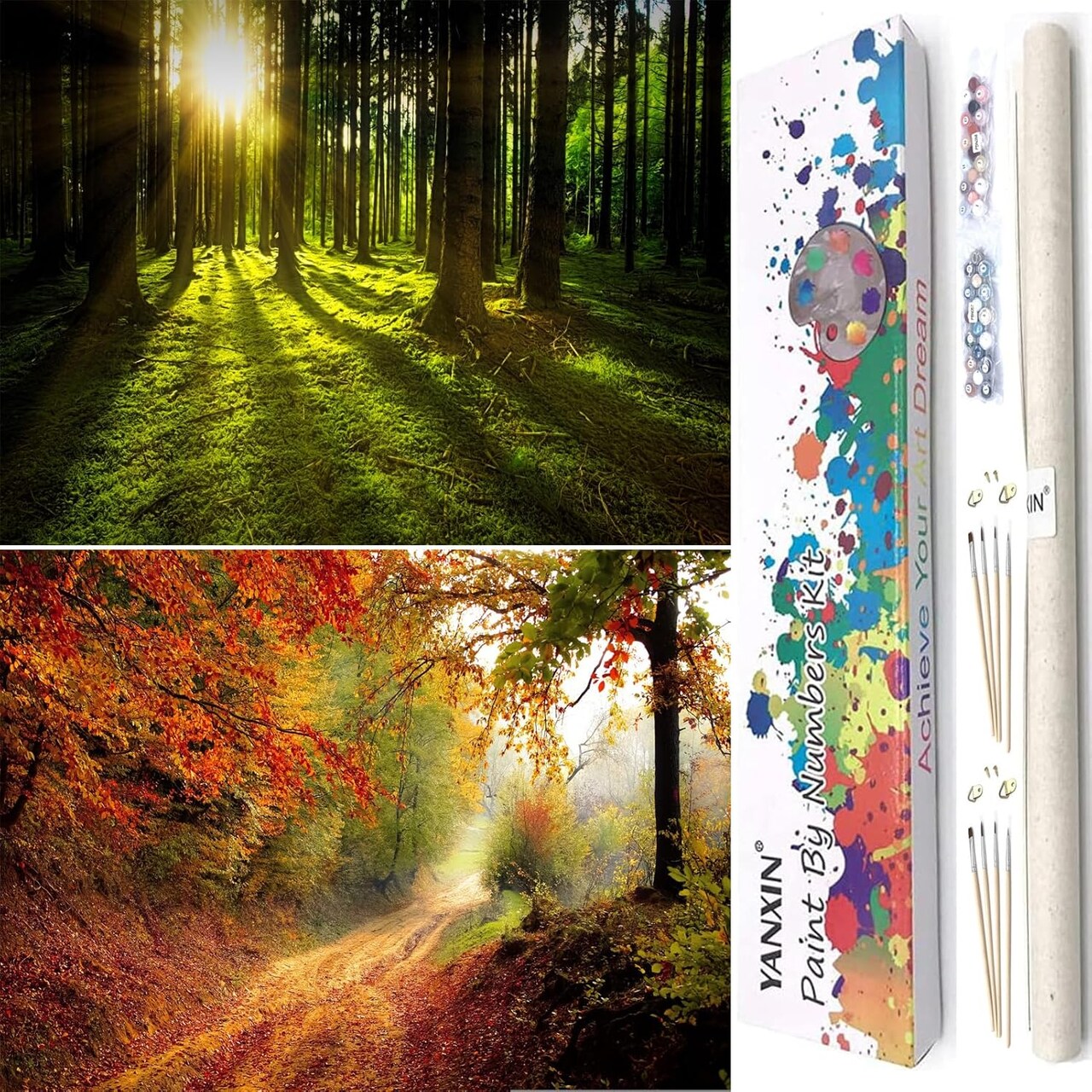 Paint by Numbers Kit for Adults Beginners 2 Pack Paint by Numbers for Adults Rolled up Canvas for Home Decoration Creative Wall Art with Colorful Gift Box 12x16 inch Forest Sunrise 175-176